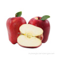 New season tianshui huaniu apple price to bangladesh